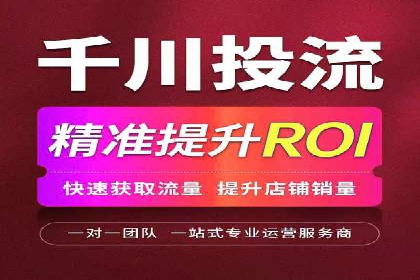 实战派经验分享：百度竞价代理成功案例揭秘